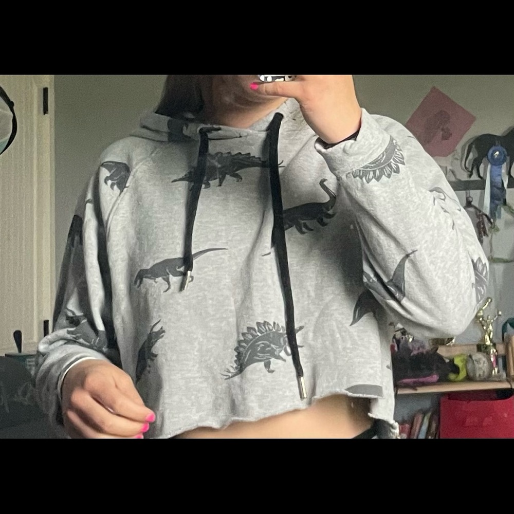 Dinosaur crop hoodie